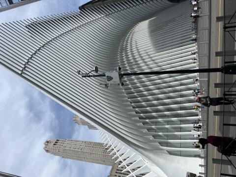 IMG 5219