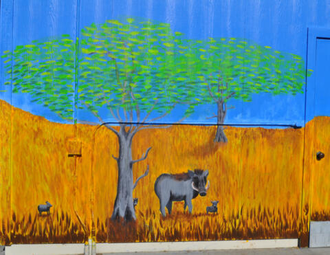 Wild Boar Detail